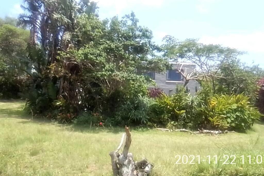 Photo 36