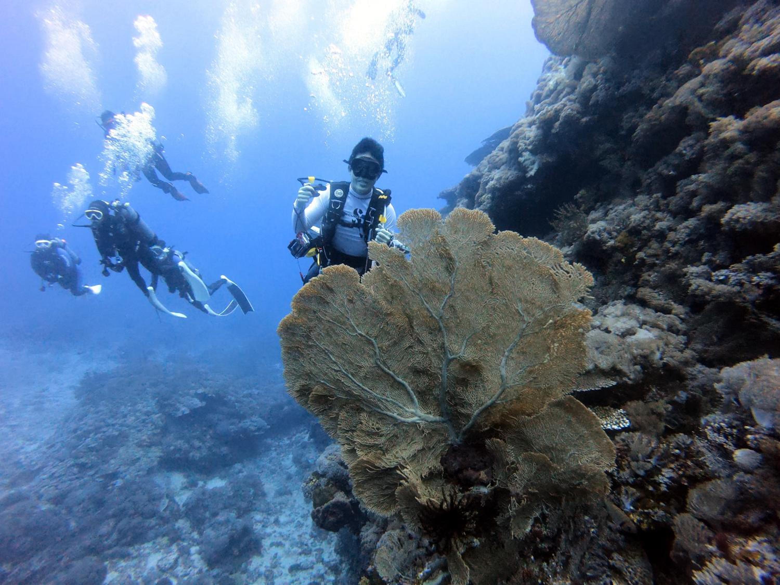 Oceans Explore Hostel
