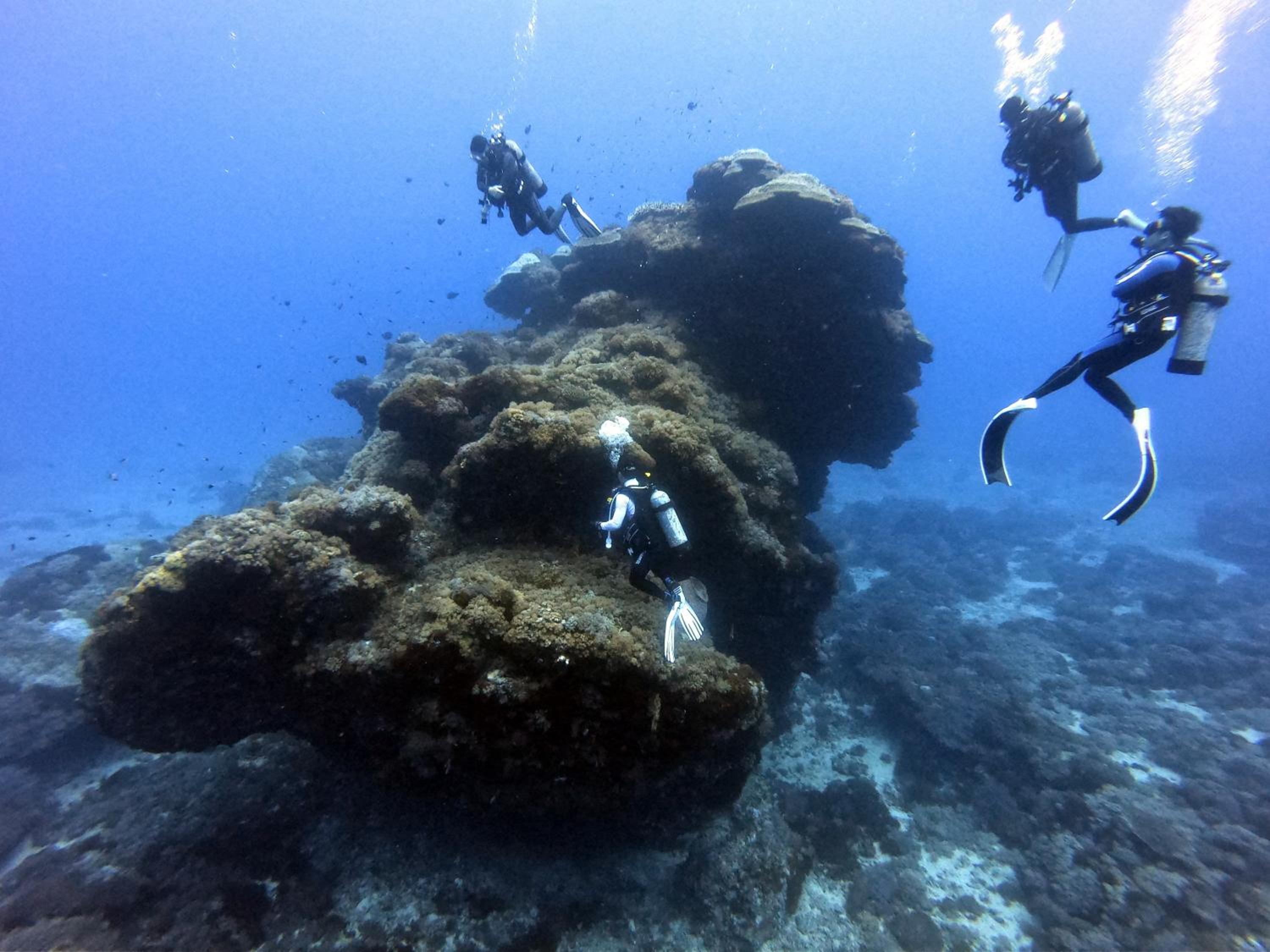 Oceans Explore Hostel