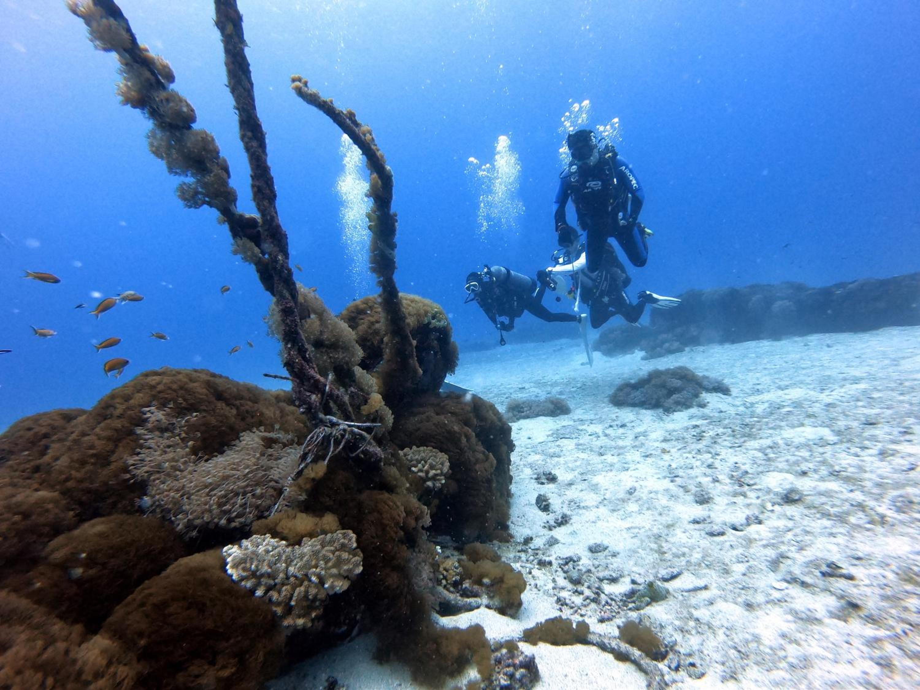 Oceans Explore Hostel