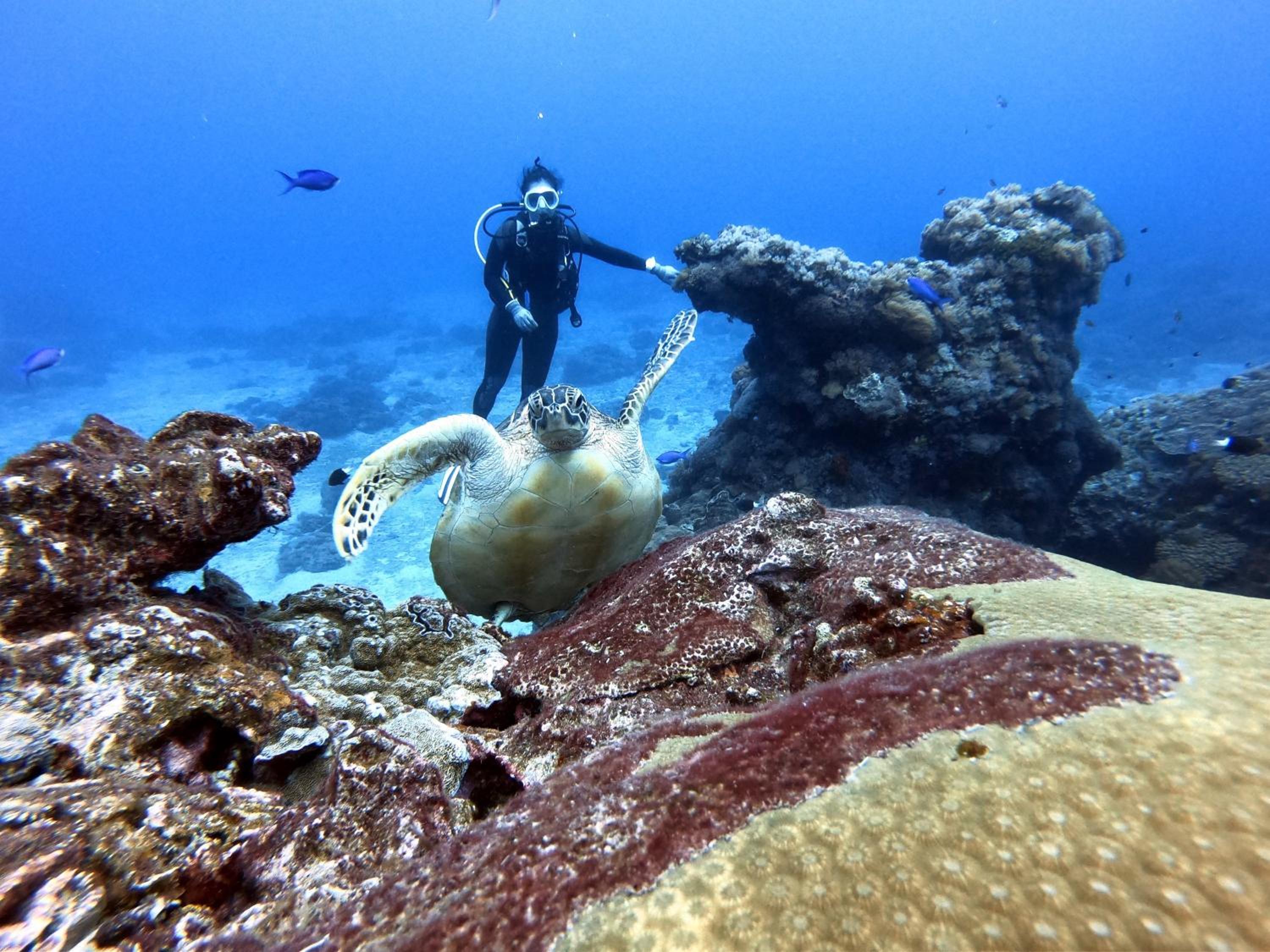 Oceans Explore Hostel