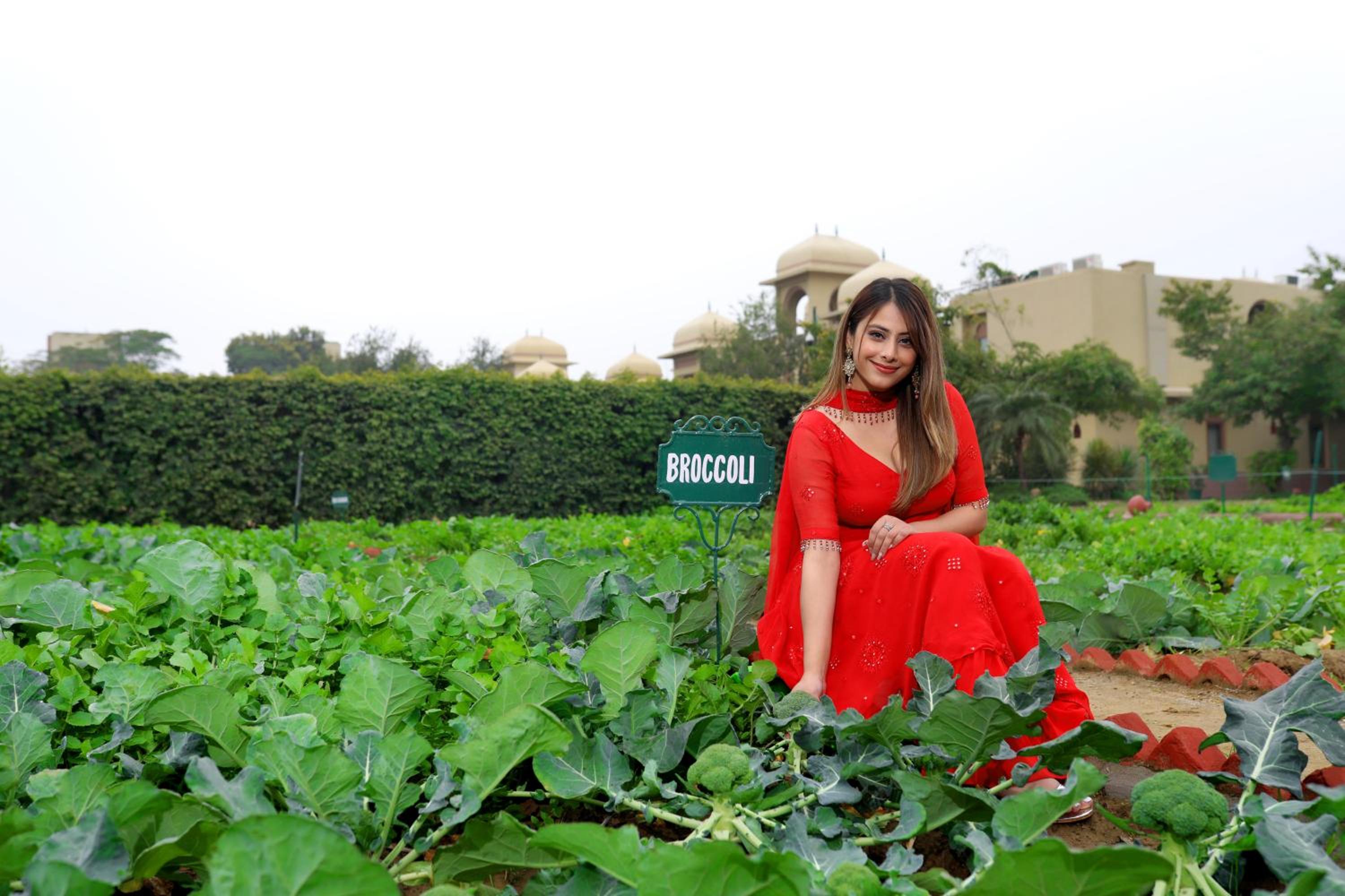 Heritage Village Resort & Spa Manesar-Gurgaon