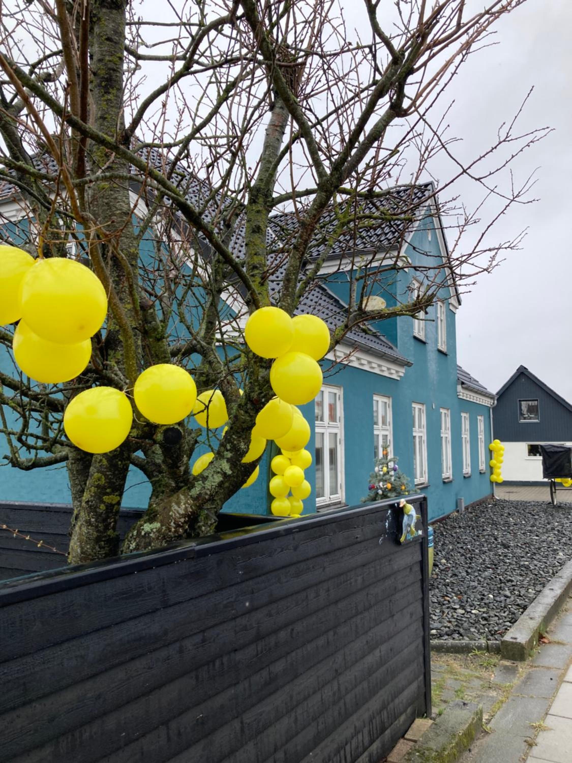 Det blågrønne Hus