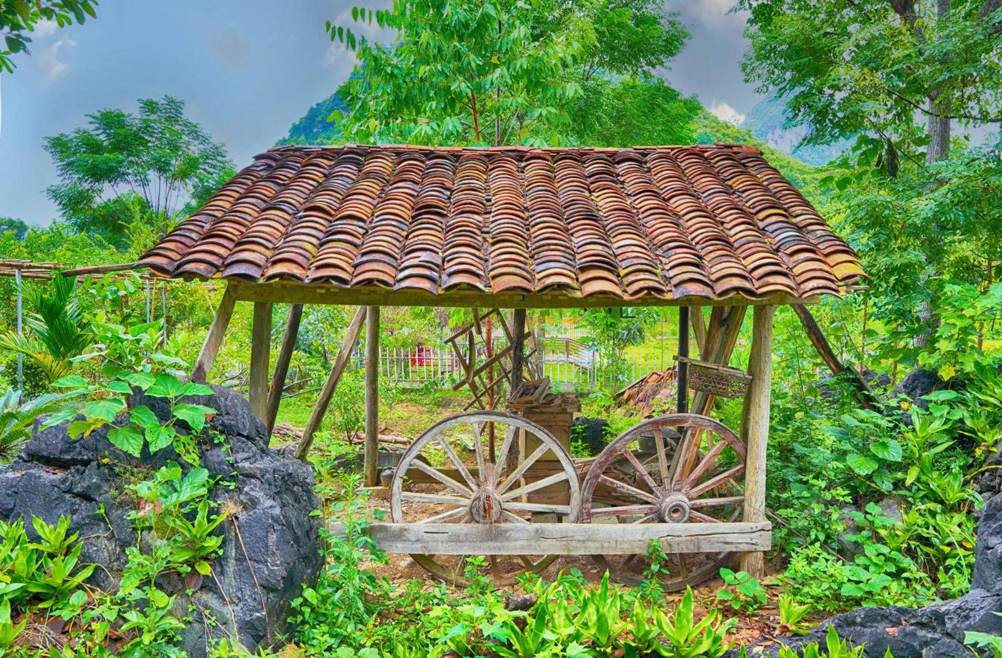Homestay Bách Thảo Tà Lùng