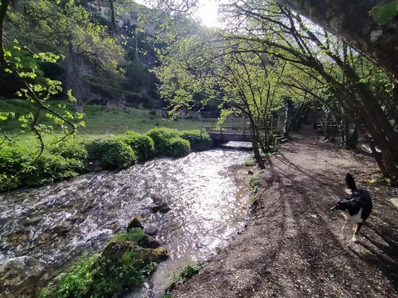 Casa nel borgo nella natura view 3