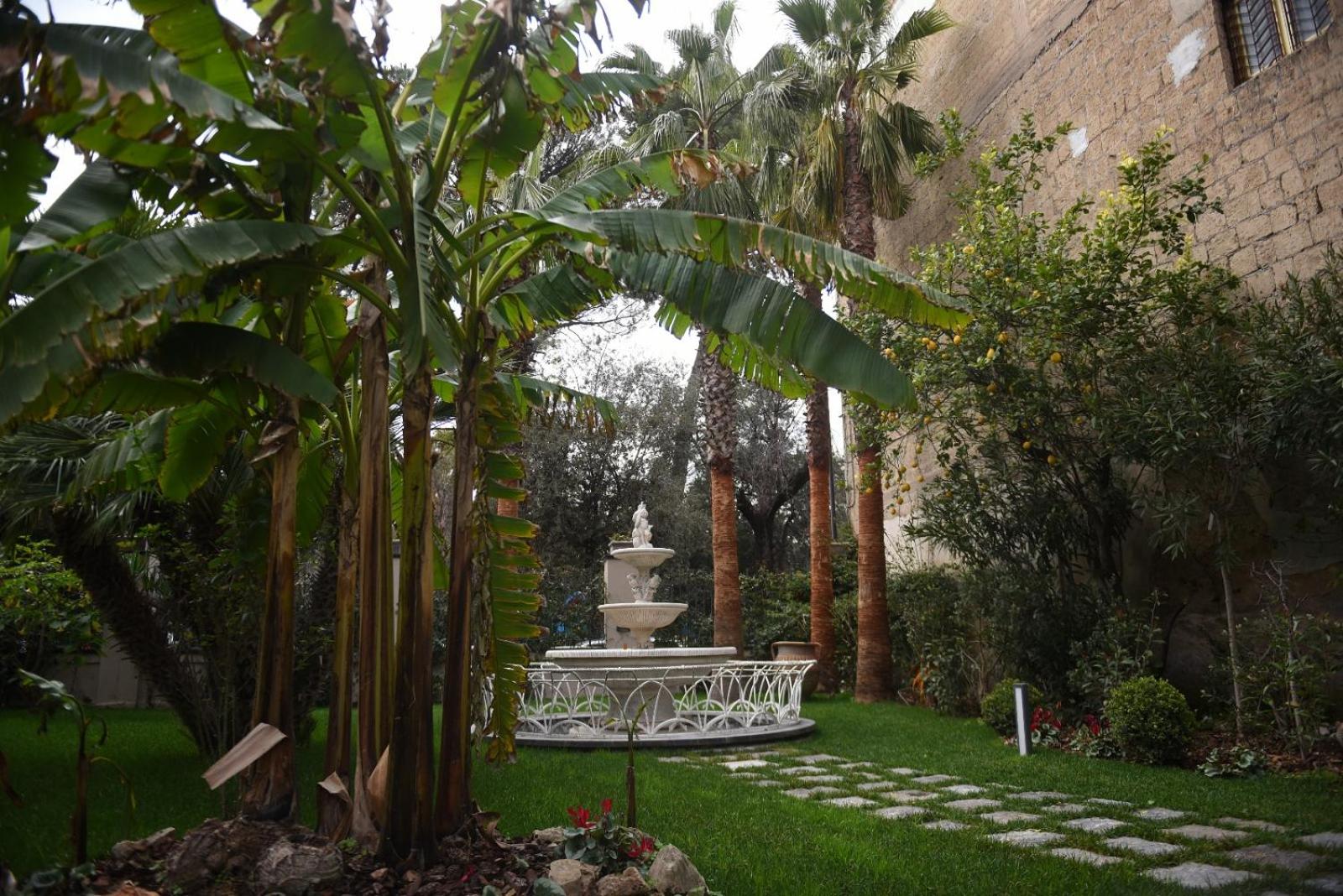 Photo 29
