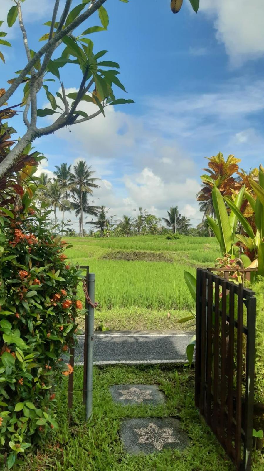 Buddha Homestay