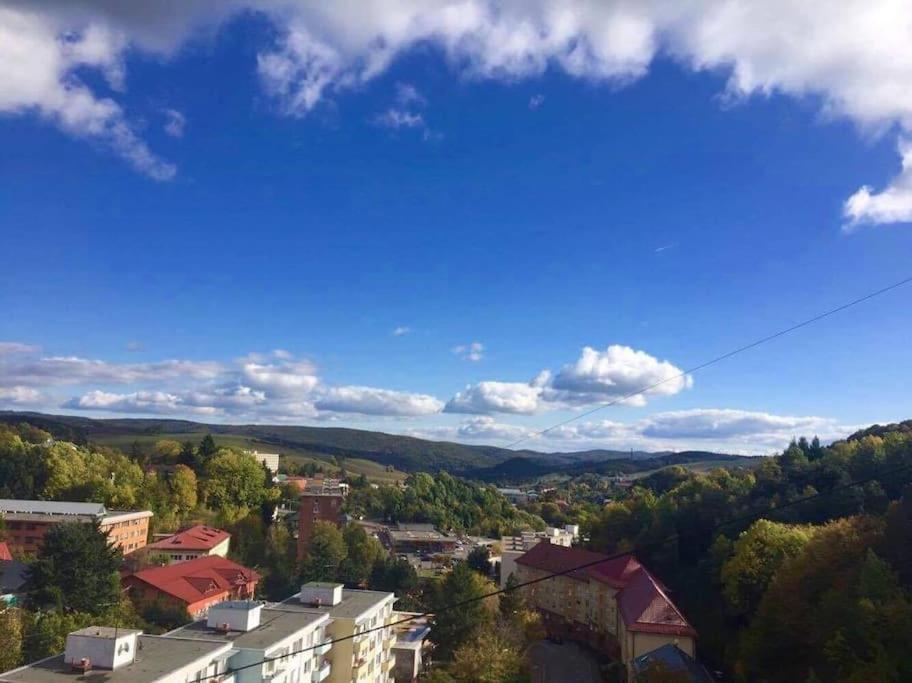 Apartment under Trojický hill