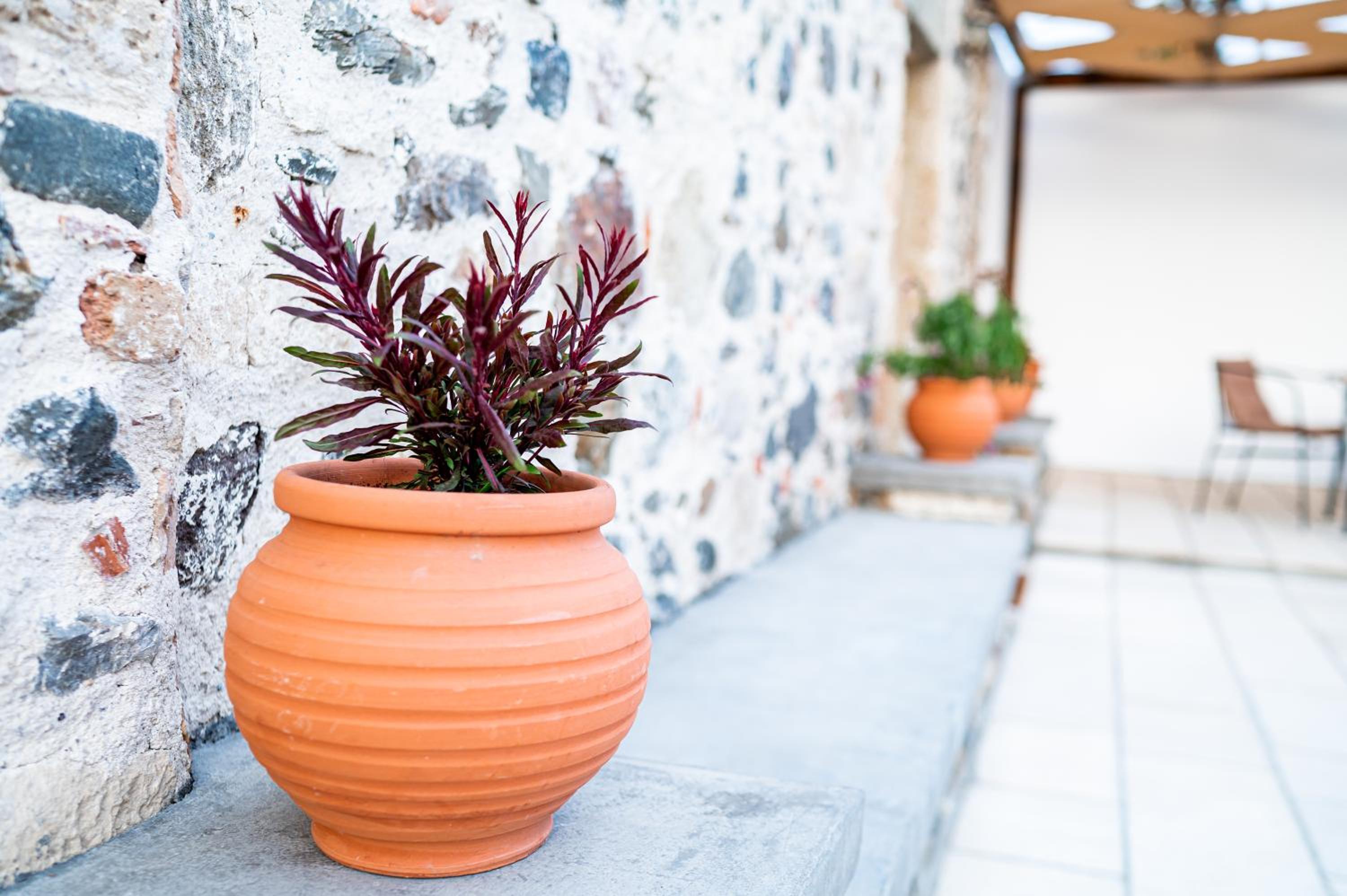 Paradisi Stone House photo 5