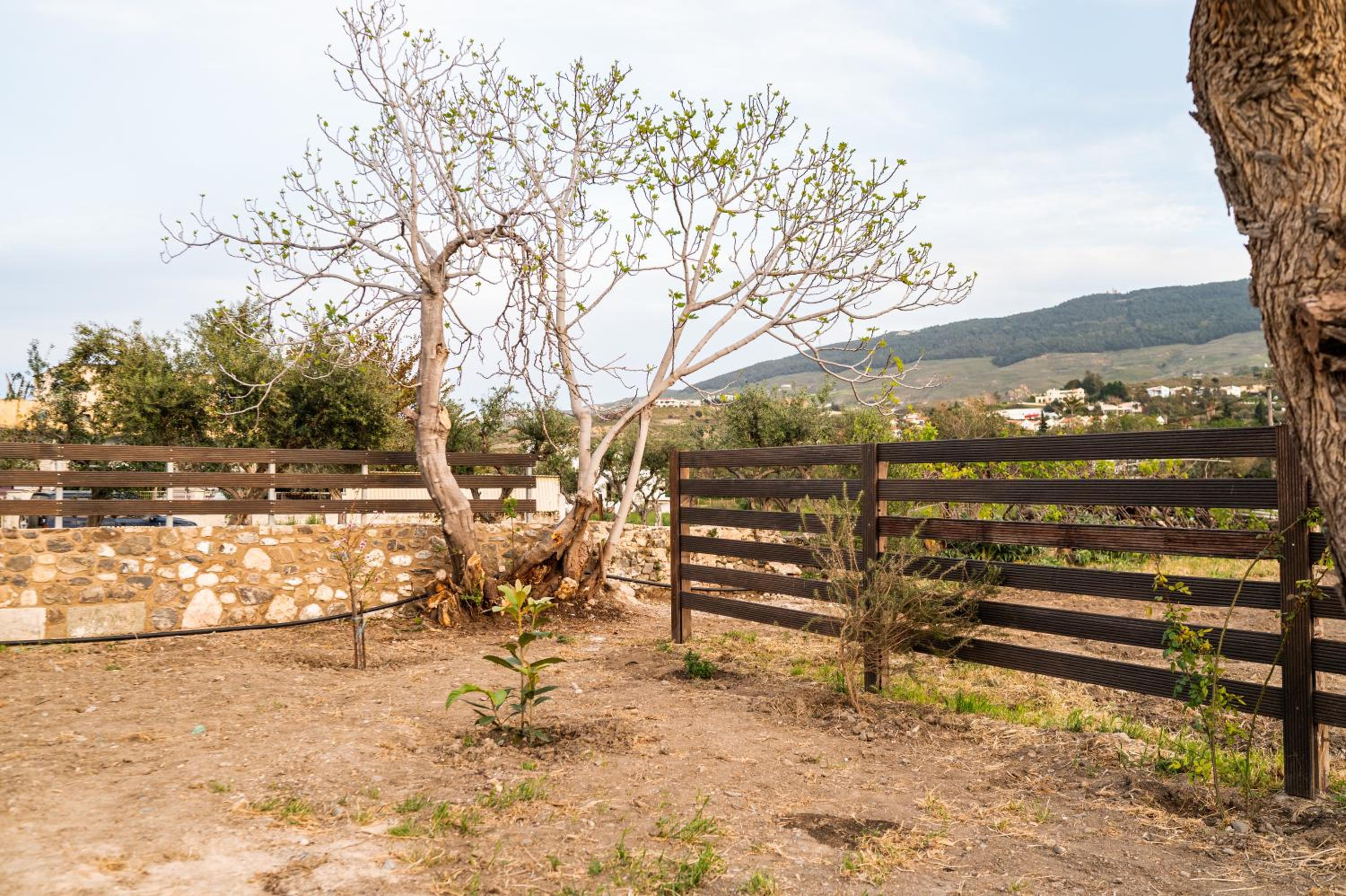 Paradisi Stone House
