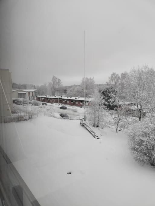 Toimiva kodikas yksiö