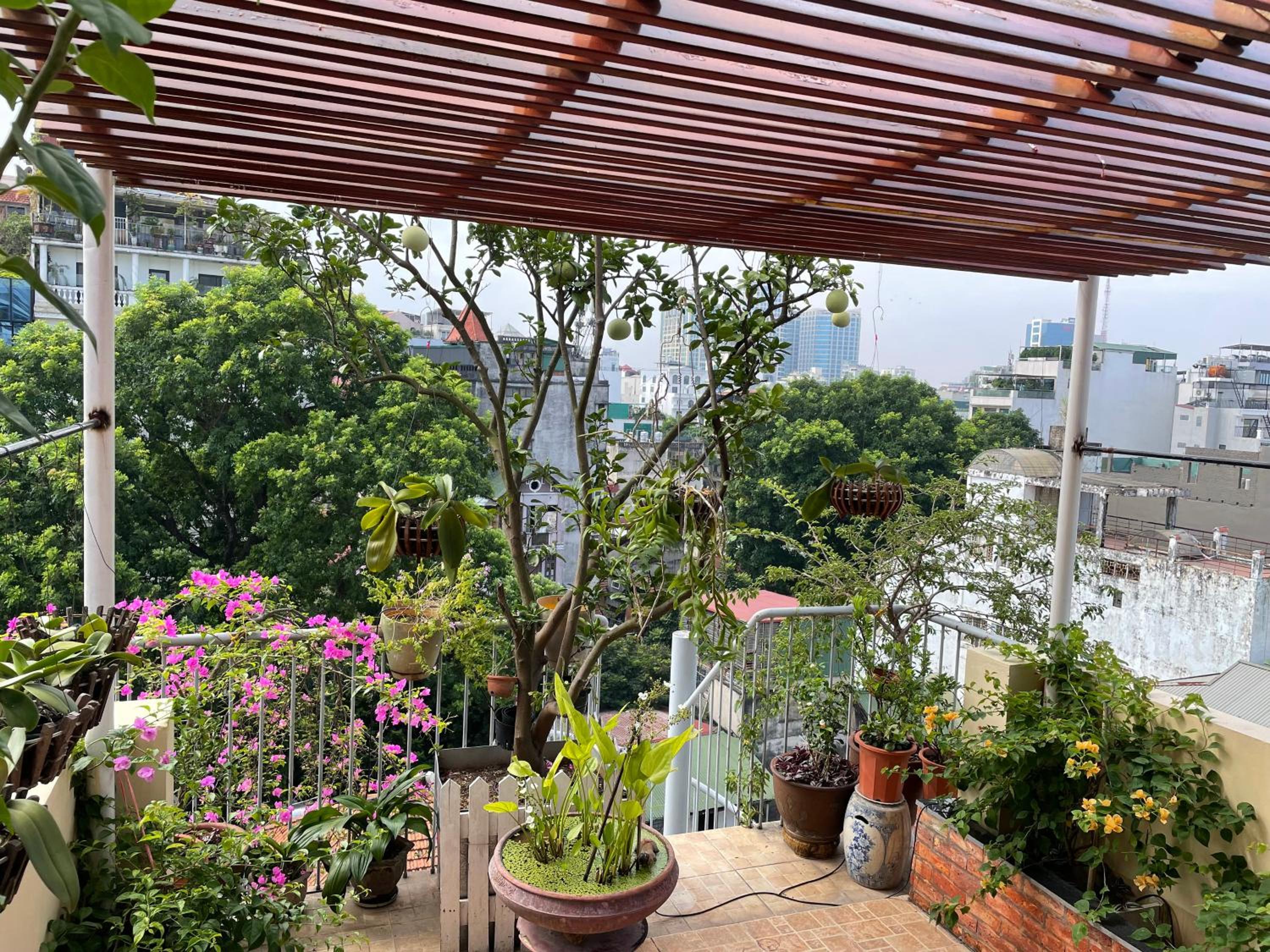 May Residence-800m from Opera House