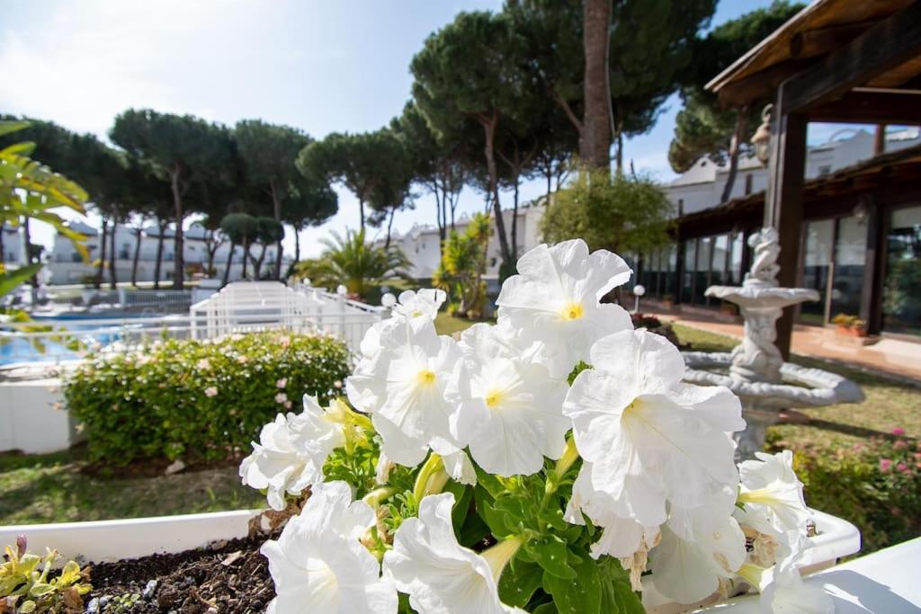 Marbella Vacations - CasaDelSol-Marbella-Sonce,piasek,szmaragdowa woda - Property Image 66