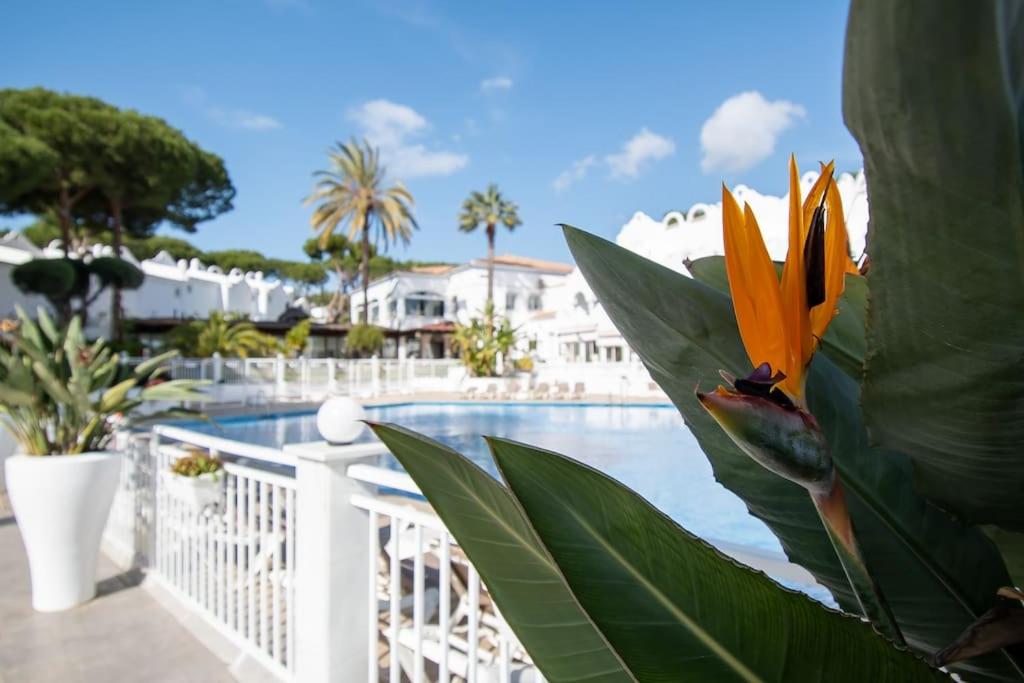 Marbella Vacations - CasaDelSol-Marbella-Sonce,piasek,szmaragdowa woda - Property Image 6