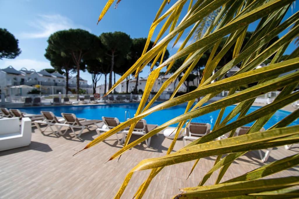 Marbella Vacations - CasaDelSol-Marbella-Sonce,piasek,szmaragdowa woda - Property Image 67