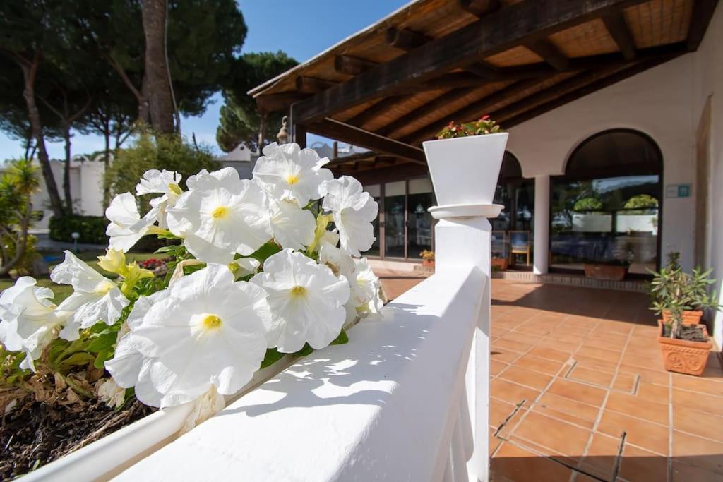 Marbella Vacations - CasaDelSol-Marbella-Sonce,piasek,szmaragdowa woda - Property Image 5
