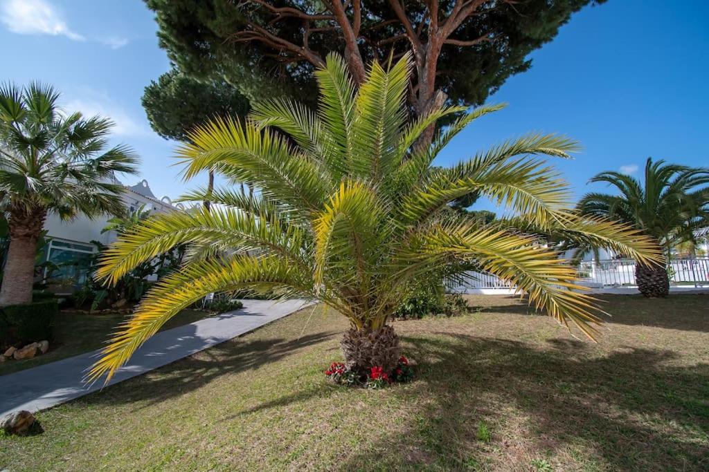 Marbella Vacations - CasaDelSol-Marbella-Sonce,piasek,szmaragdowa woda - Property Image 36
