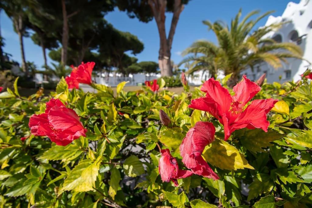 Marbella Vacations - CasaDelSol-Marbella-Sonce,piasek,szmaragdowa woda - Property Image 32
