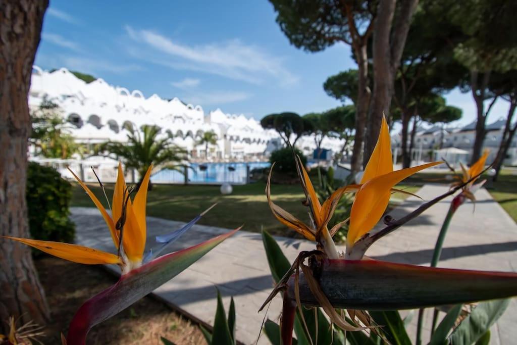 Marbella Vacations - CasaDelSol-Marbella-Sonce,piasek,szmaragdowa woda - Property Image 29