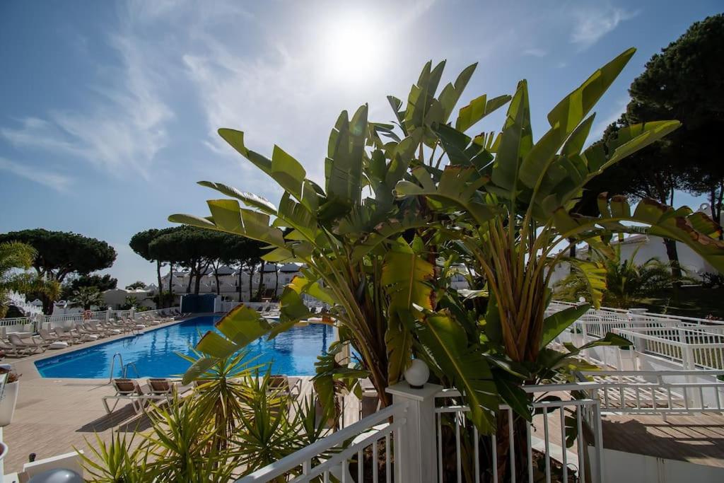 Marbella Vacations - CasaDelSol-Marbella-Sonce,piasek,szmaragdowa woda - Property Image 24