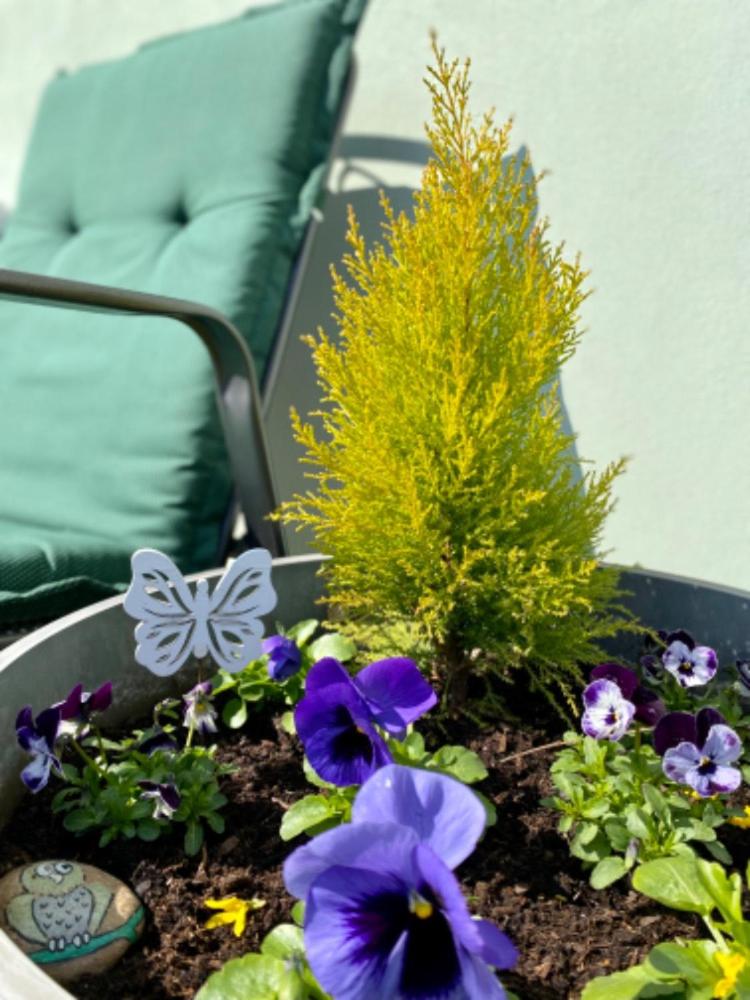 Apartmány u rybníčka