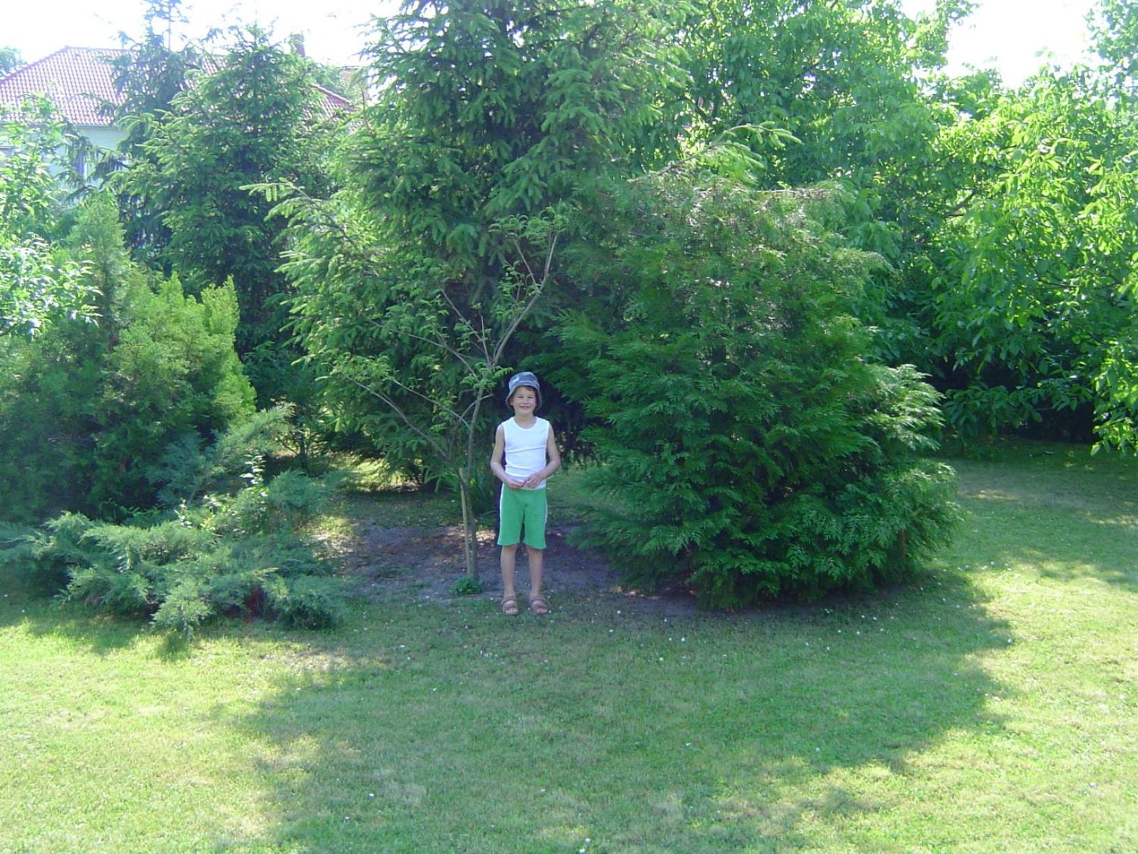 Photo 46