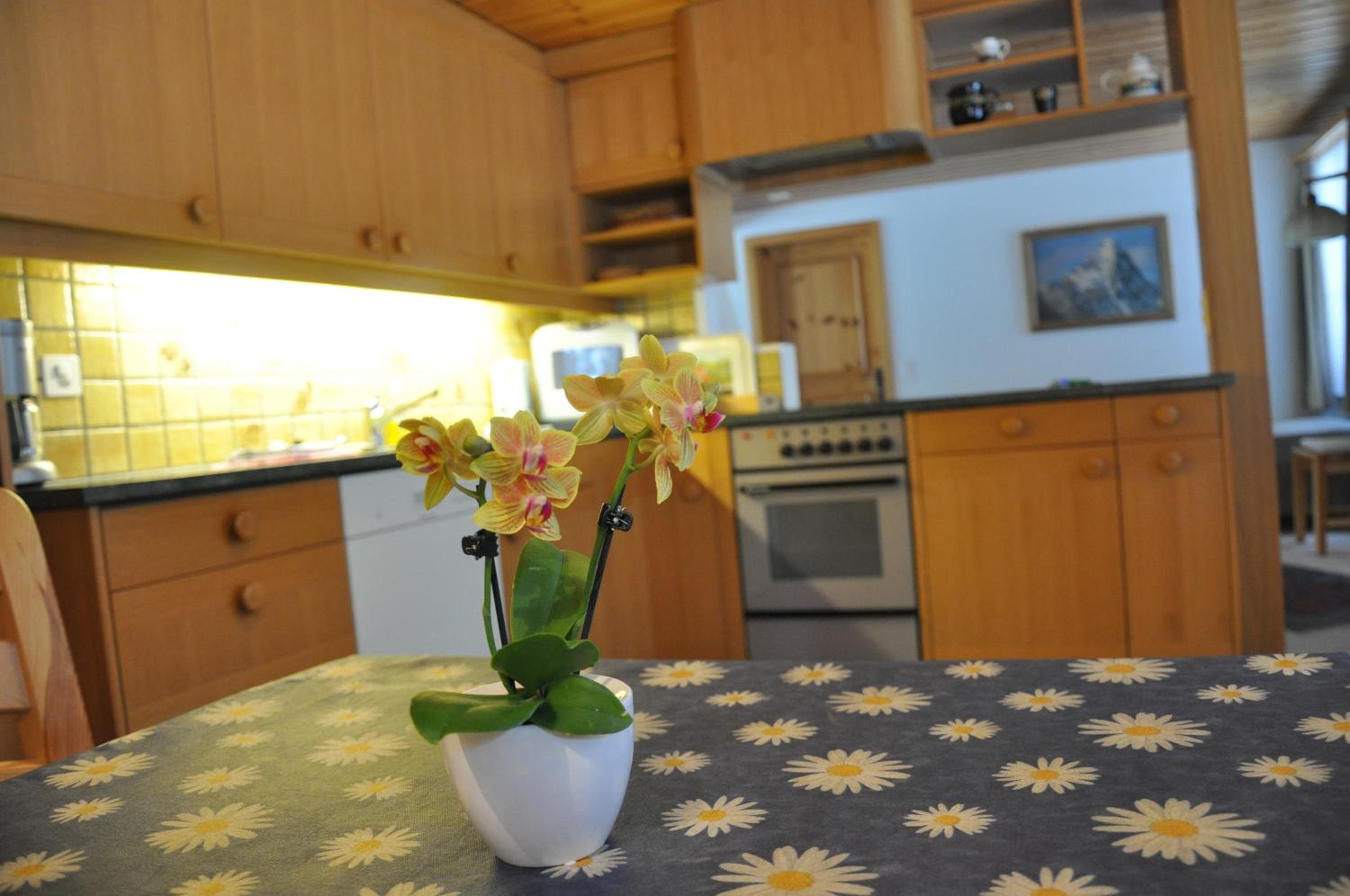 FERIENWOHNUNGEN Chalet Hohturnen