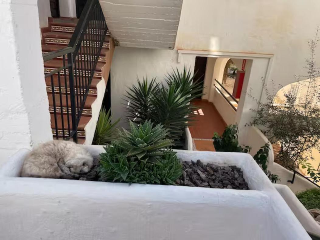 Andalusian style apartment in Pueblo Evita exclusive holiday complex