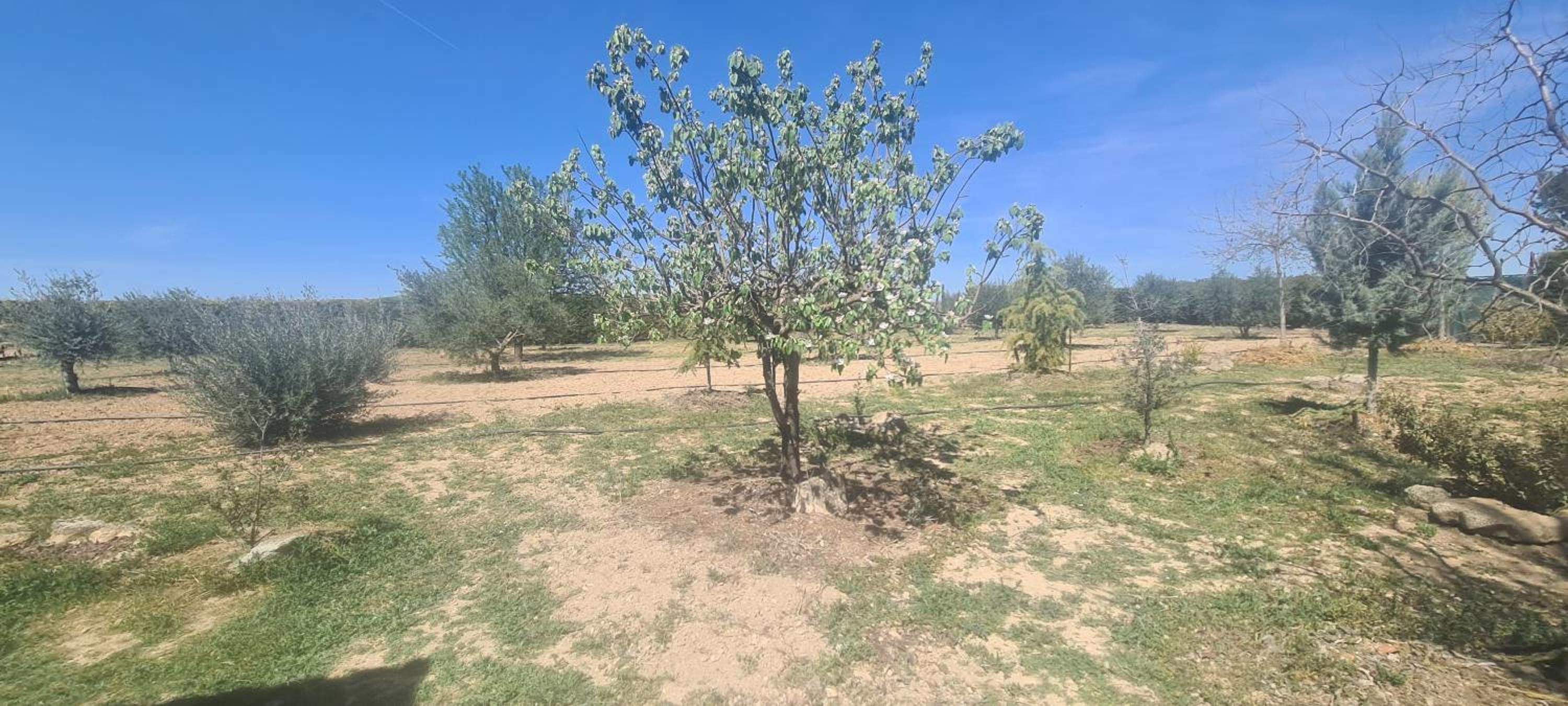 Finca Don Sancho by Mayne