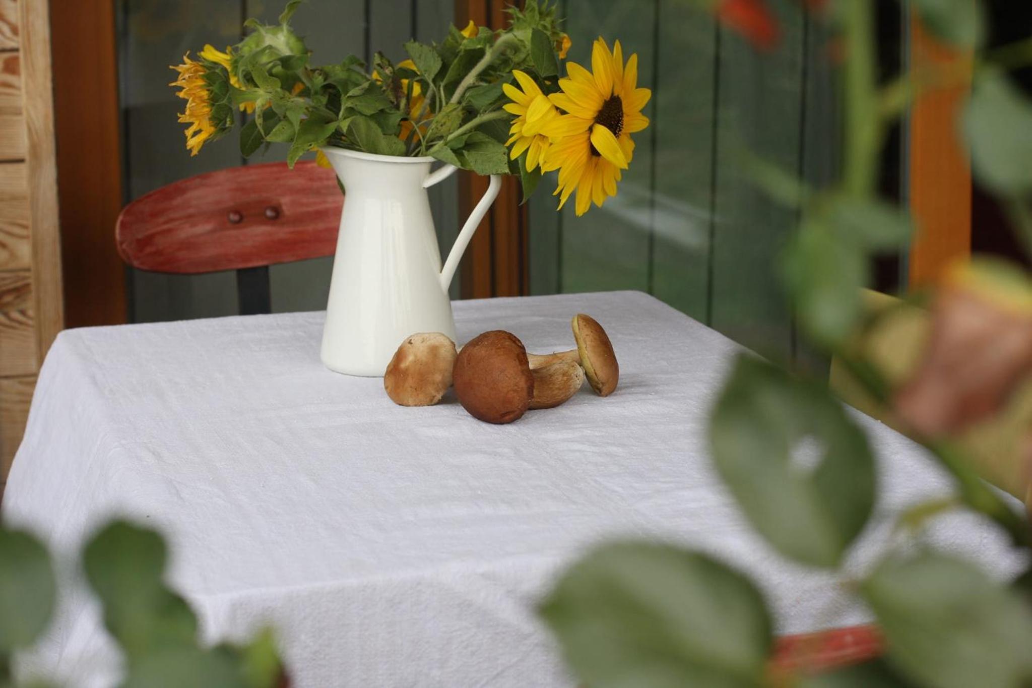 Holiday Home Trnavsko view 3
