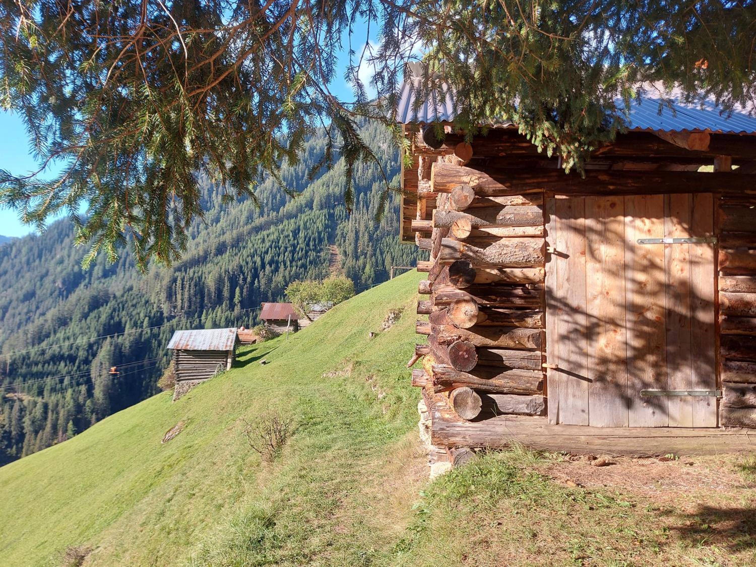 Haus Edelweiss Alpine Chalet near Samnaun
