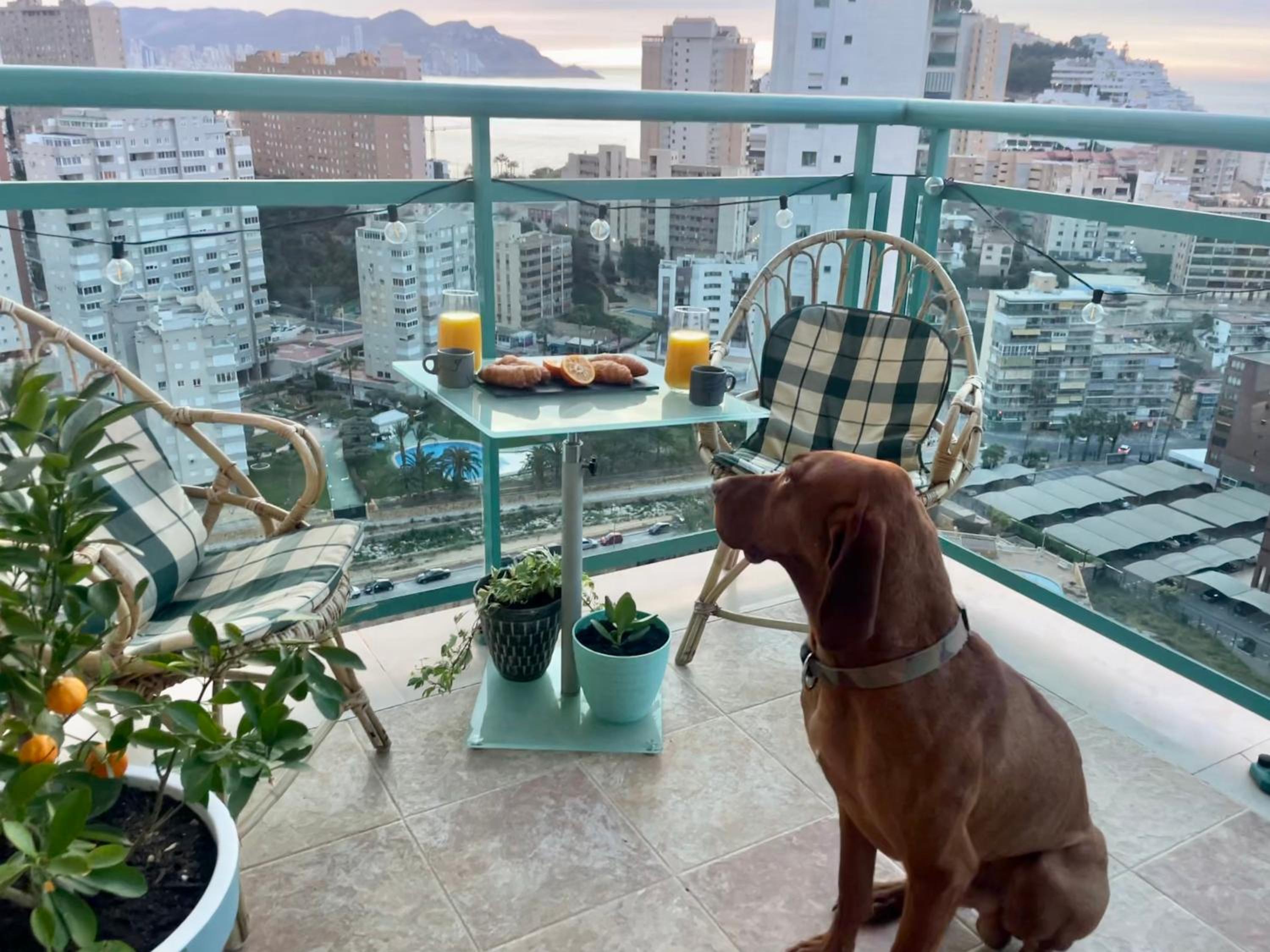Traveler's Beach Apartment with sea view, free coffee & parking view 2