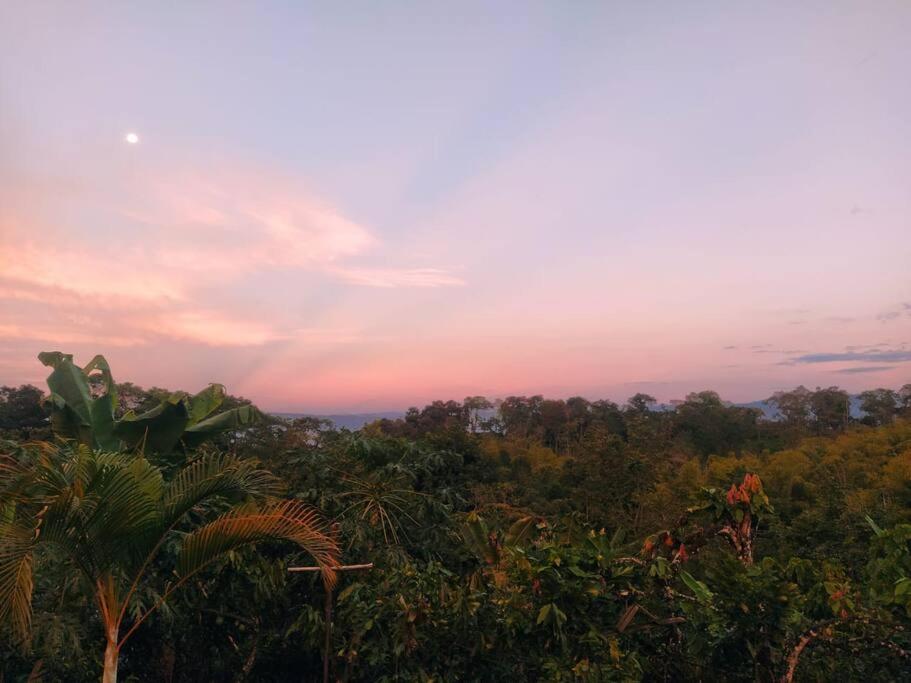 Hotel Mi finquita Tamesis Vereda San Isidro - Image 1