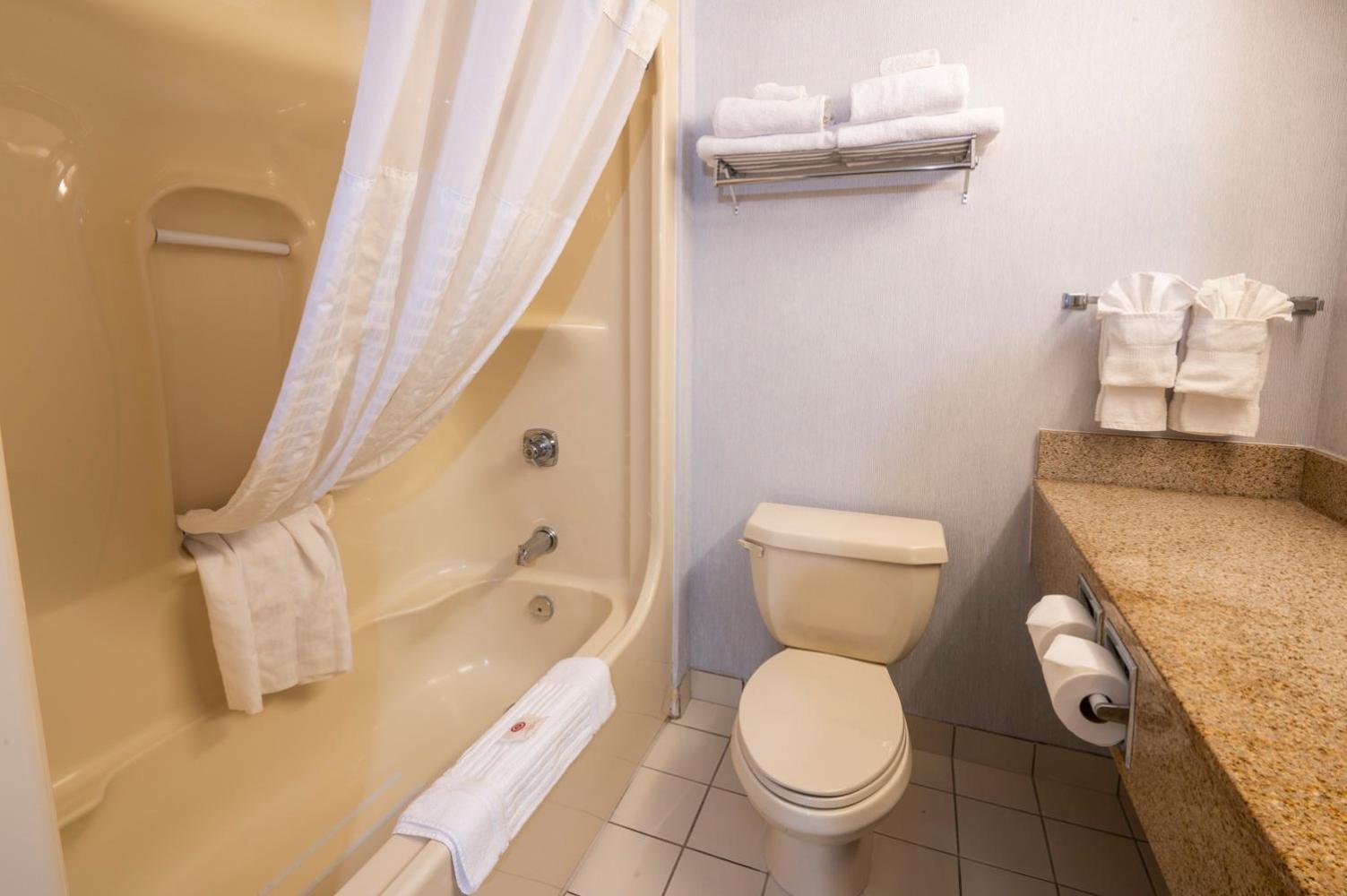 Comfort Hotel & Suites-4