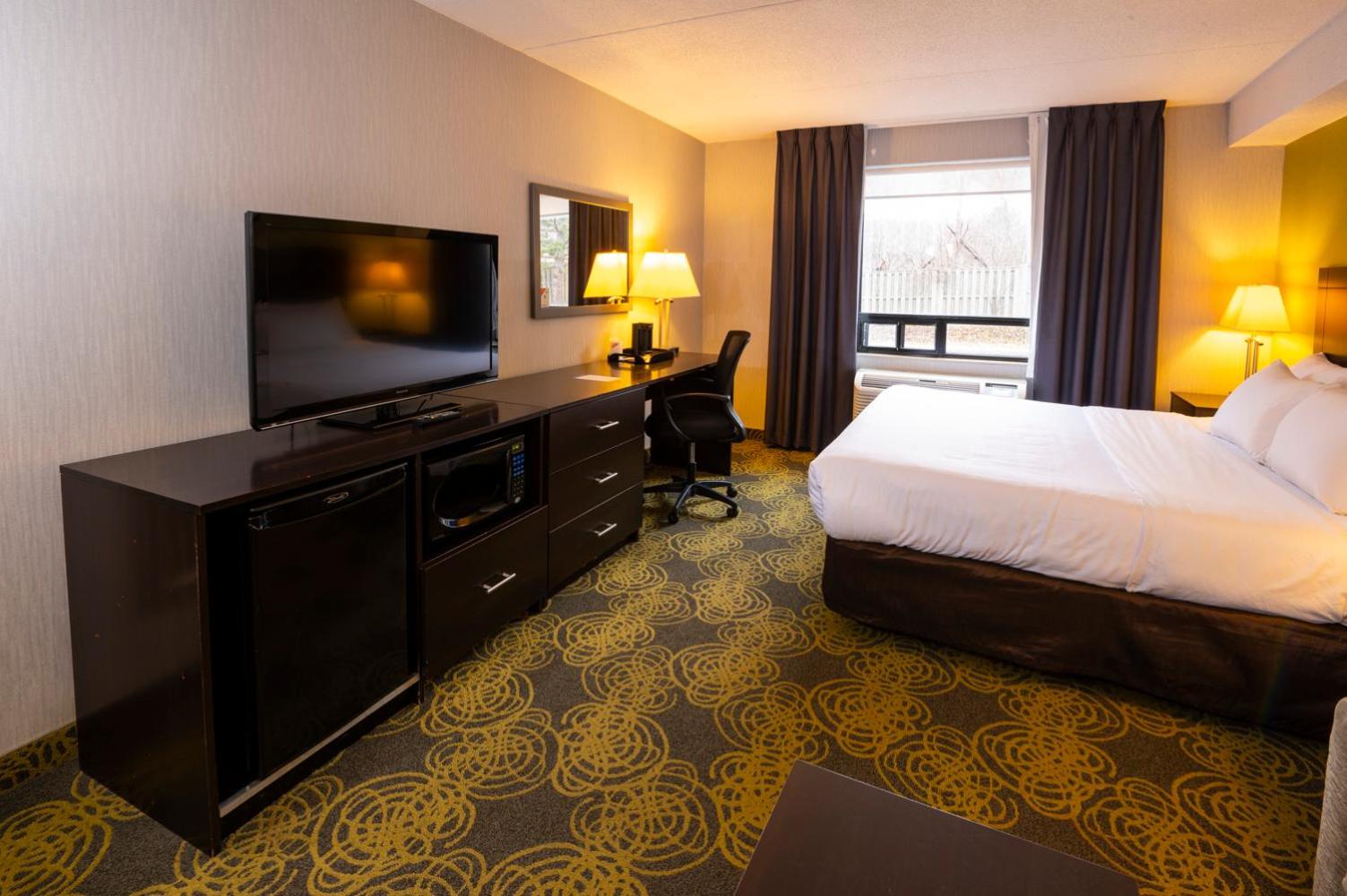 Comfort Hotel & Suites-3