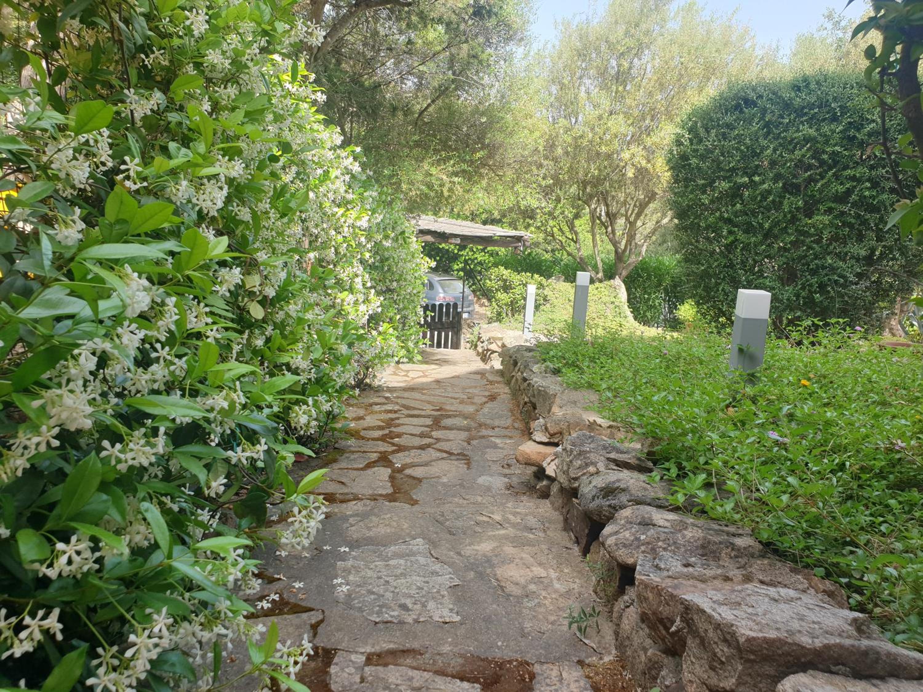 Photo 27