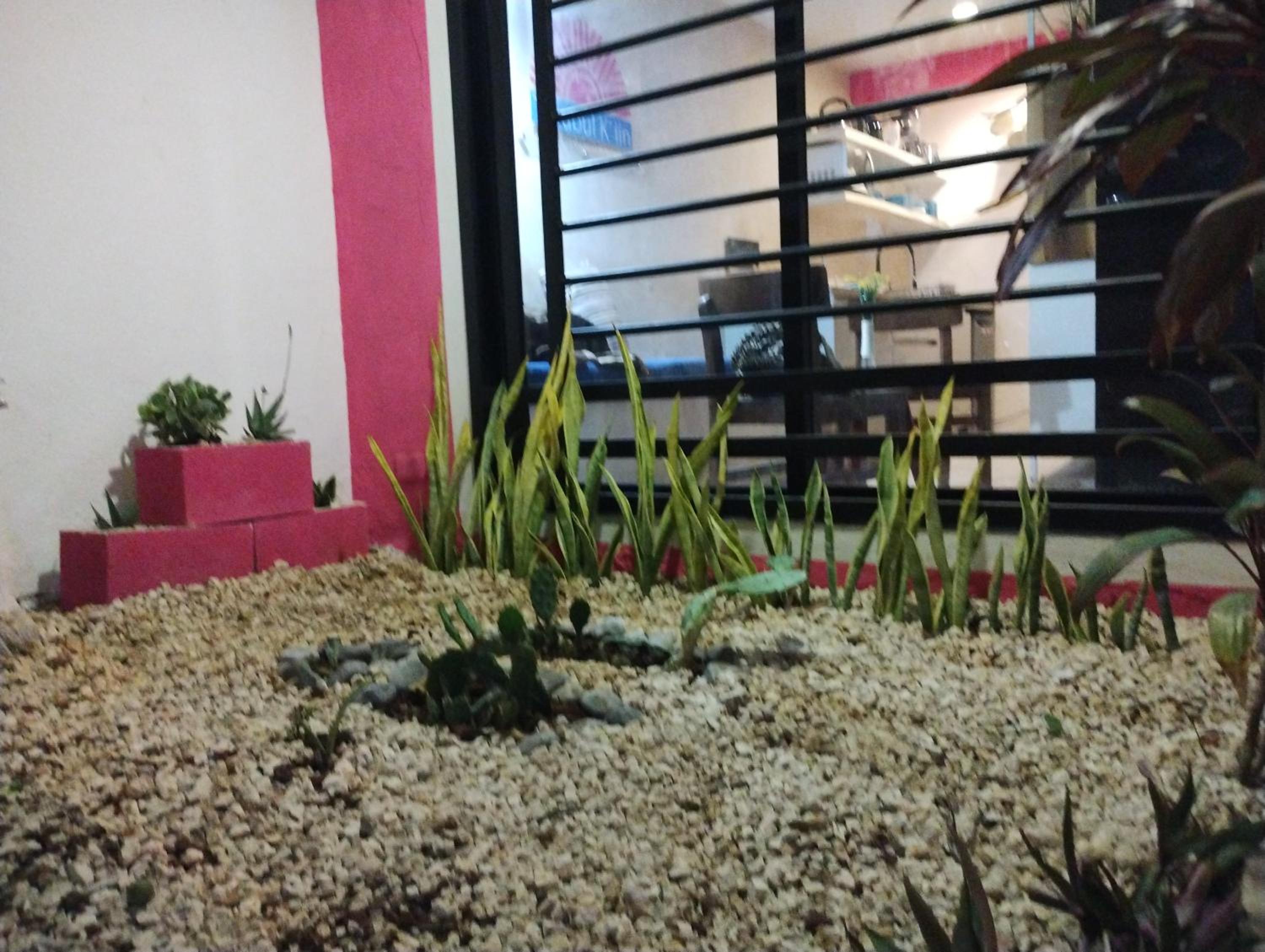 Photo 29