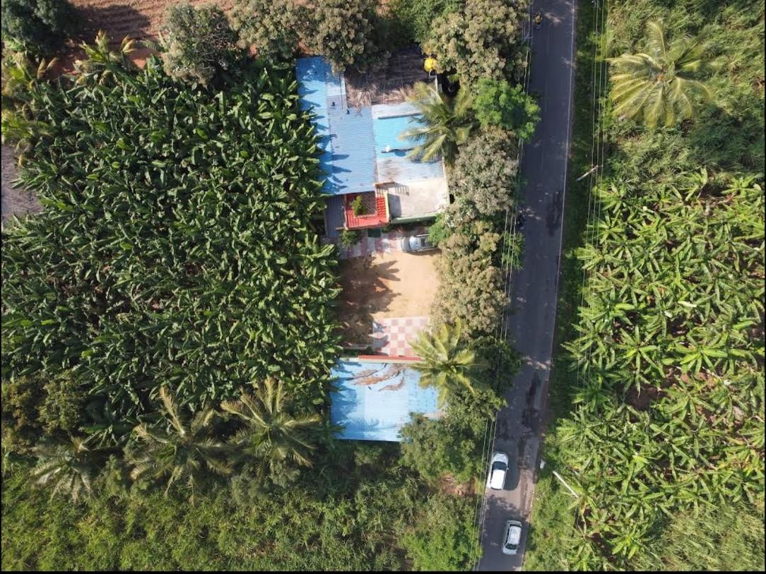 BANANA FARM HOUSE view 4