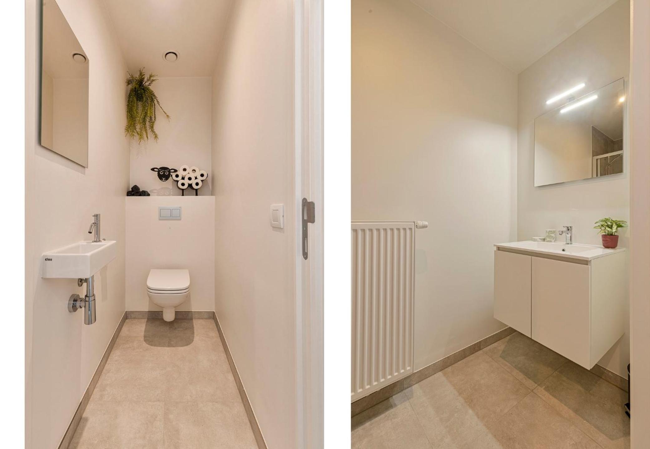 Flat Walnes