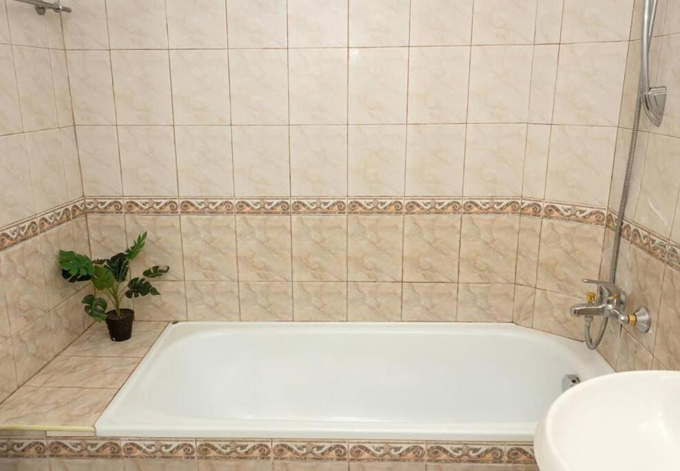 Modern Bright Apartment Close to City Center and Grand MALL