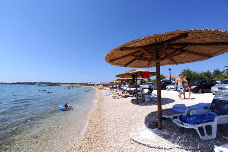 Apartmani Luka
