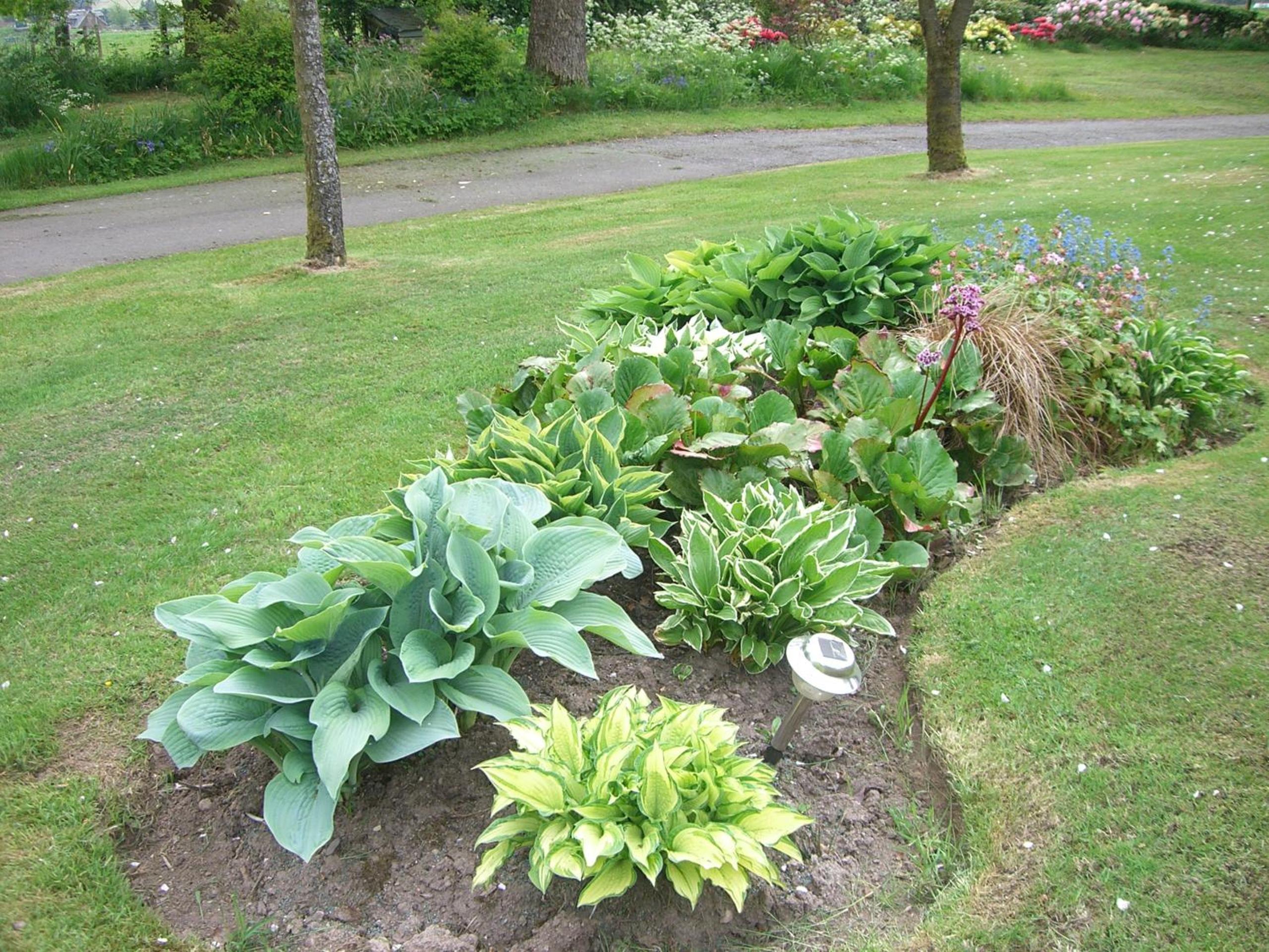 Photo 40