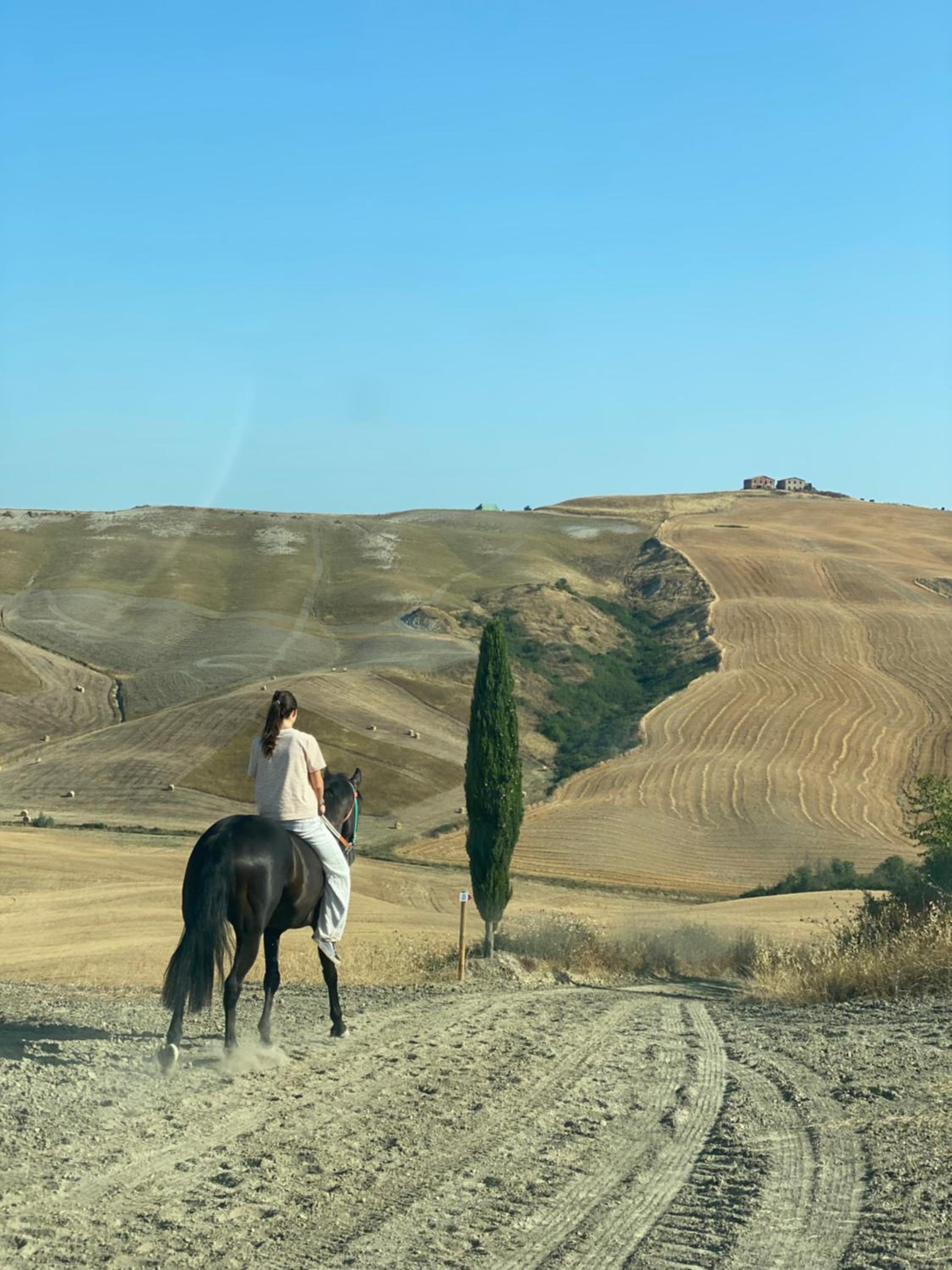 Tuscan Farmhouses at Castello del Calcione Estate