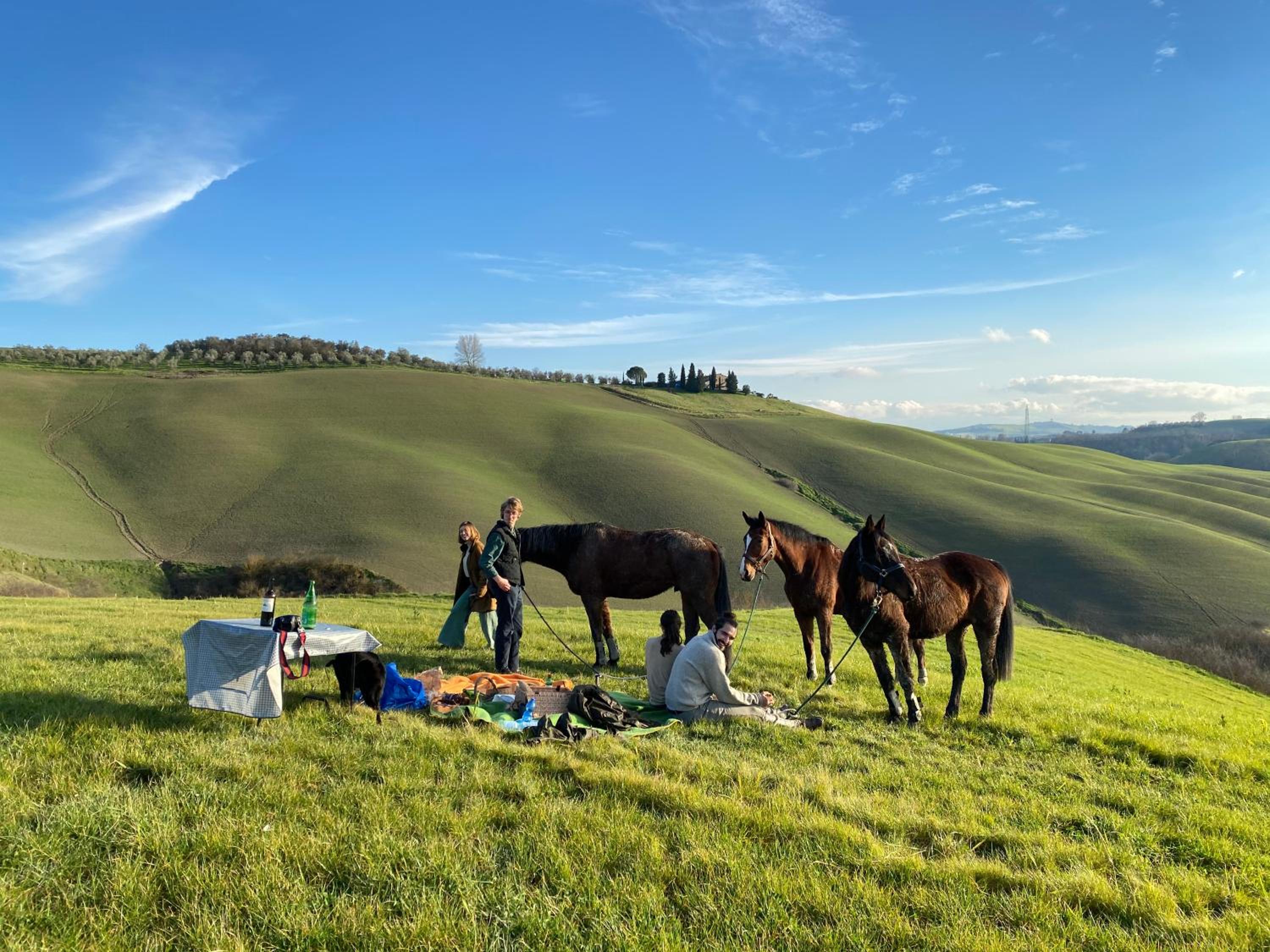 Tuscan Farmhouses at Castello del Calcione Estate