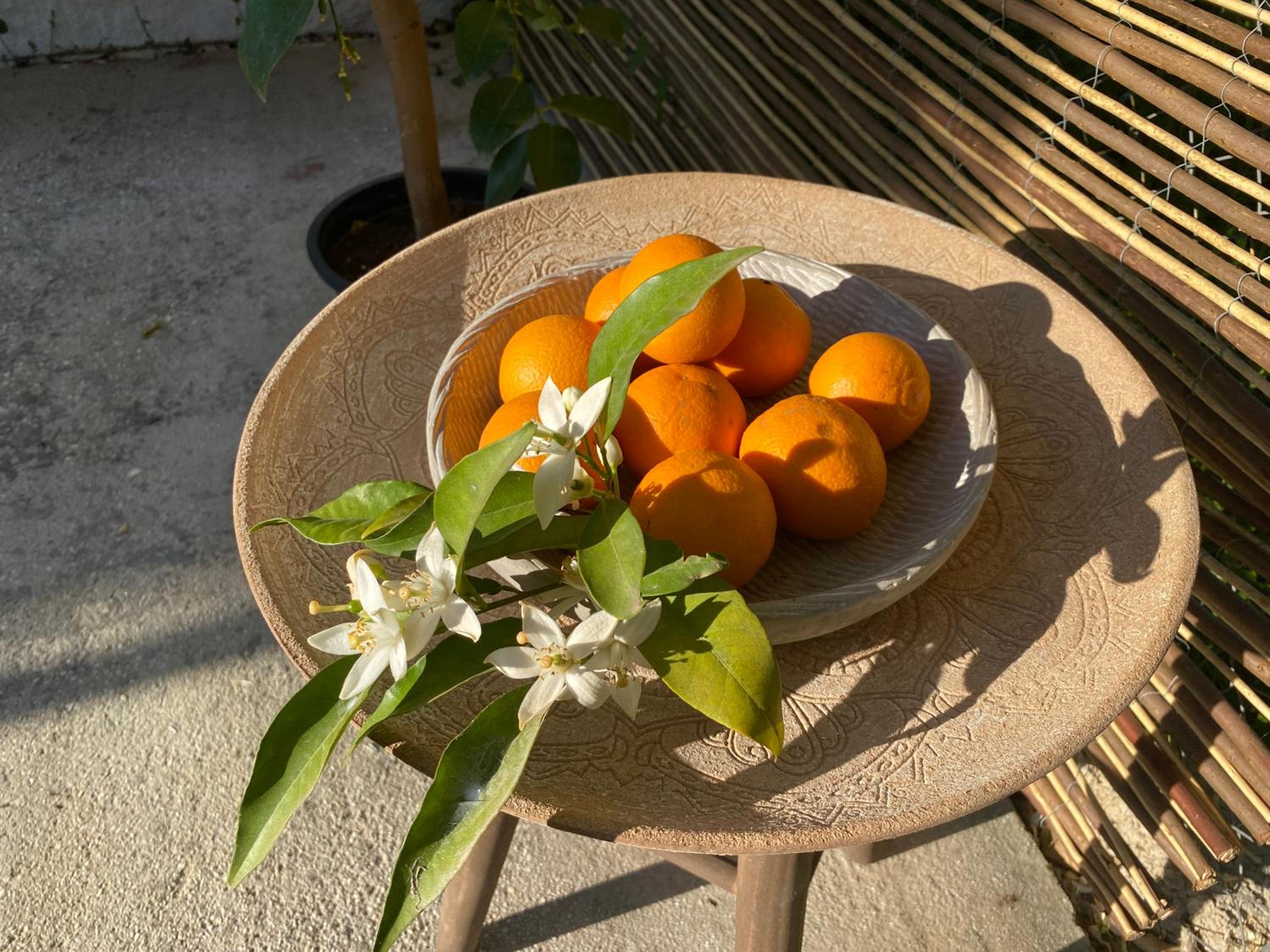 Casita Azahar Andalucia