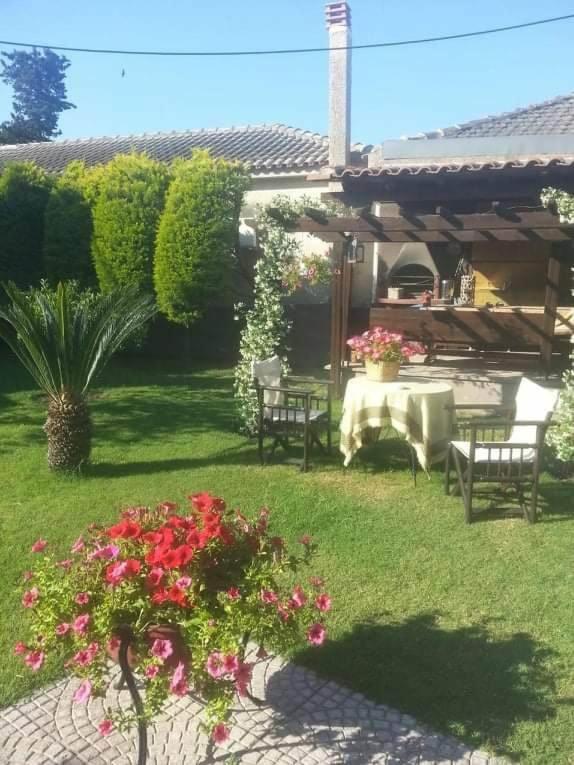 Villa Asteria photo 5