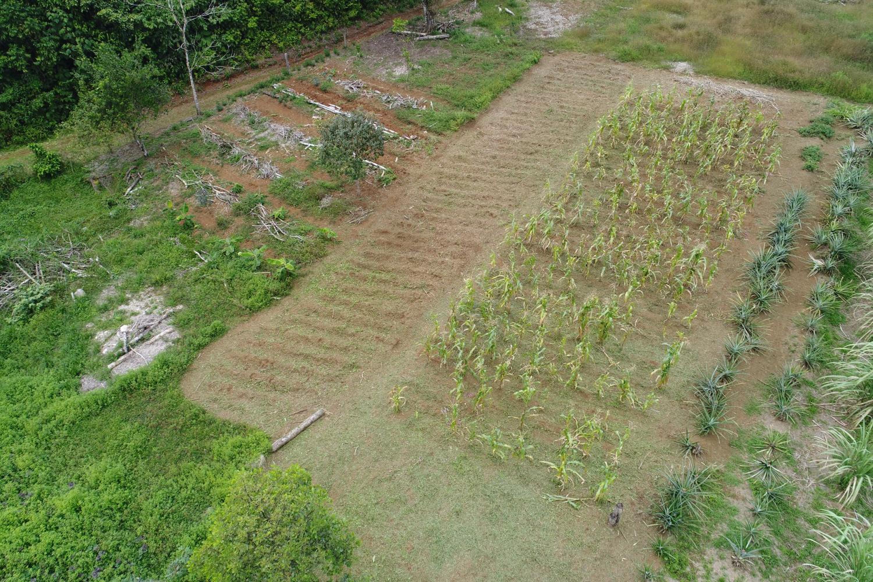 HOPE GARDEN, SARAPIQUÍ, We connect you with the Sarapiquí tropical forest