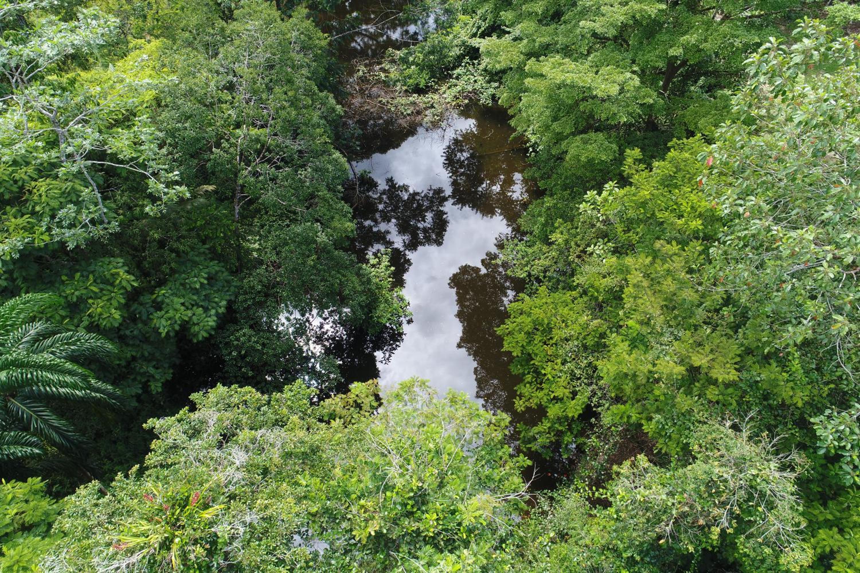 HOPE GARDEN, SARAPIQUÍ, We connect you with the Sarapiquí tropical forest