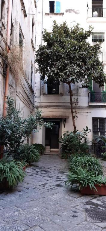 Opera Home Napoli
