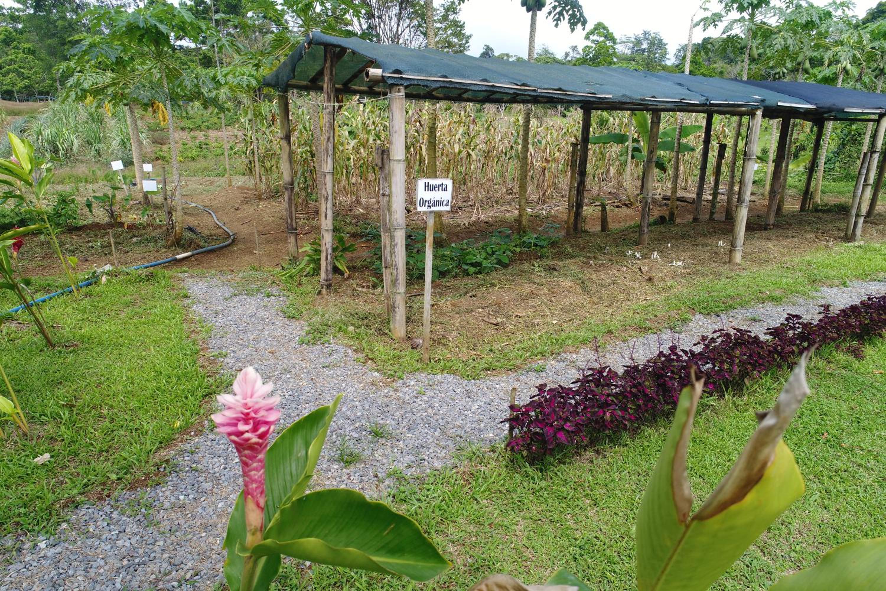 HOPE GARDEN, SARAPIQUÍ, We connect you with the Sarapiquí tropical forest